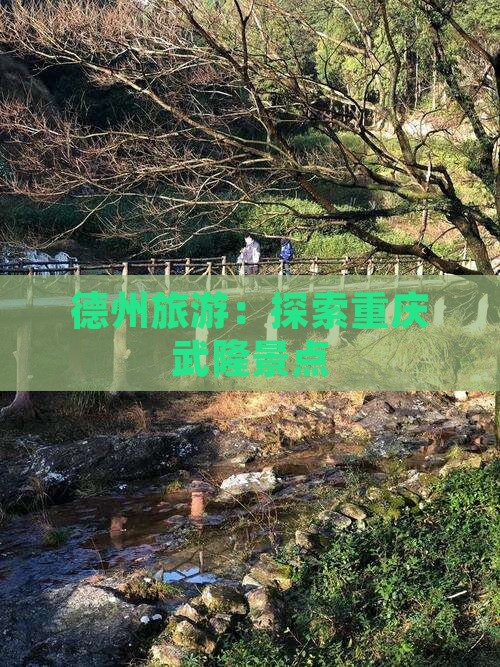 德州去重庆武隆景点