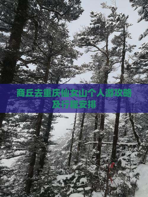 商丘去重庆仙女山个人游