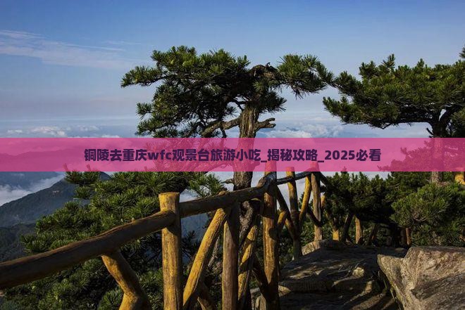 铜陵去重庆wfc观景台旅游小吃