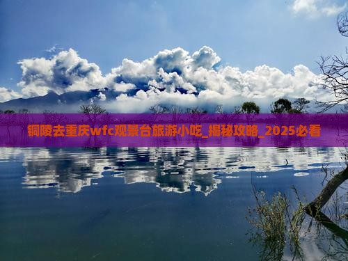 铜陵去重庆wfc观景台旅游小吃