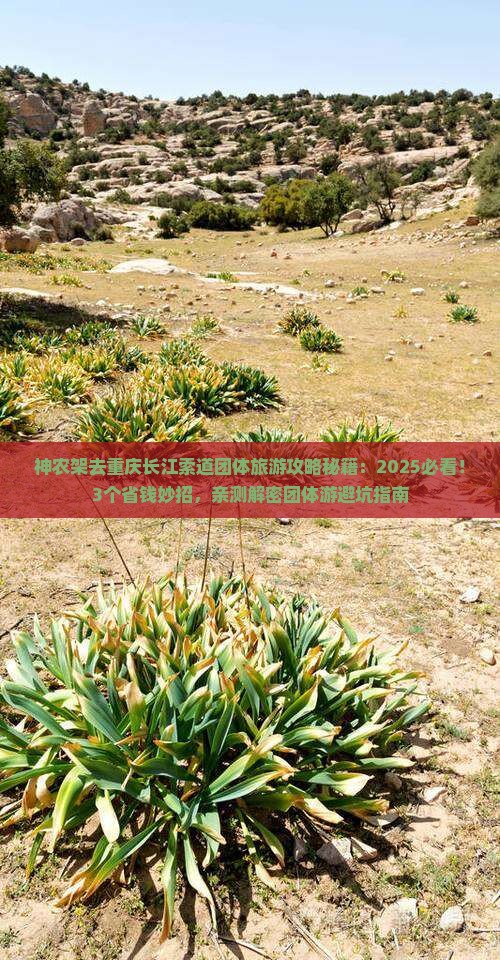 神农架去重庆长江索道团体旅游