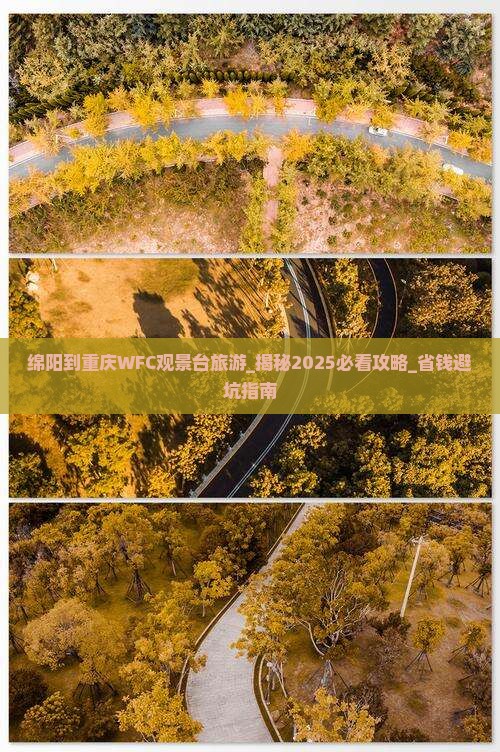 绵阳到重庆wfc观景台旅游