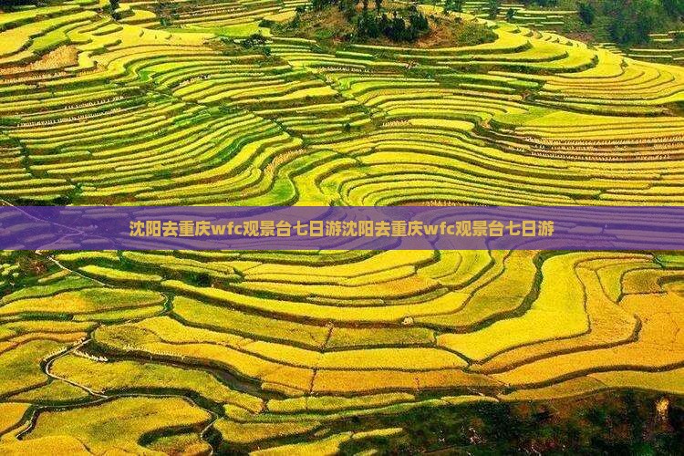 沈阳去重庆wfc观景台七日游