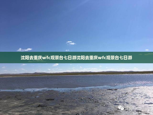 沈阳去重庆wfc观景台七日游