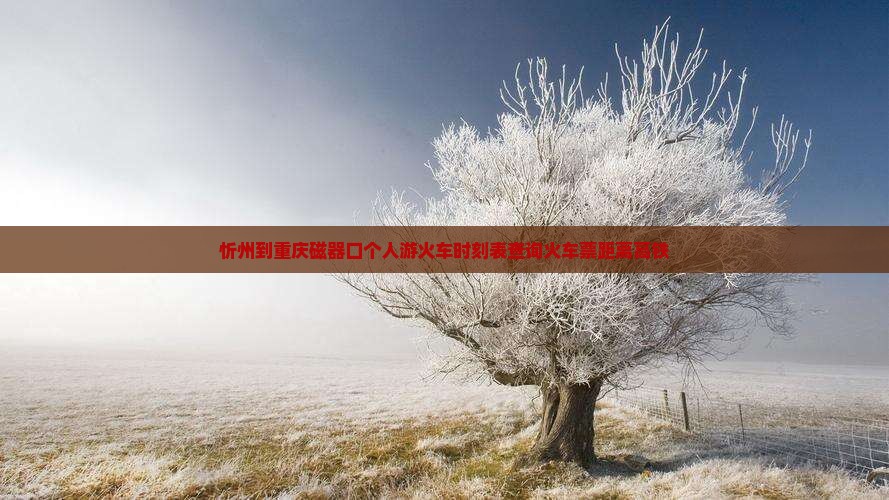 忻州到重庆磁器口个人游