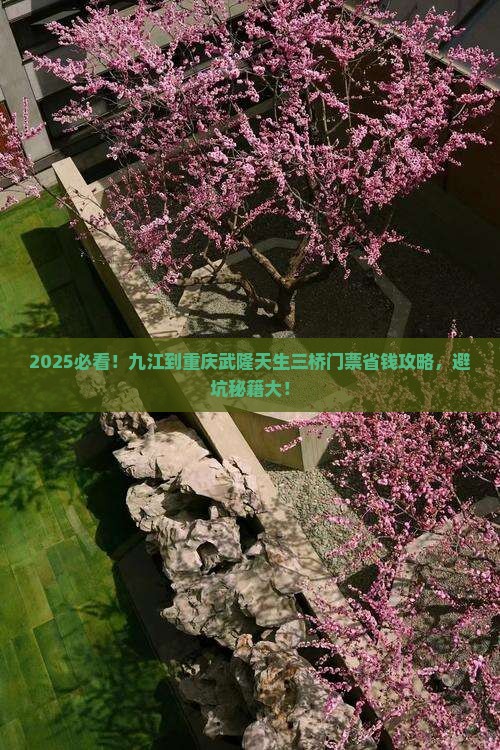 九江到重庆武隆天生三桥门票