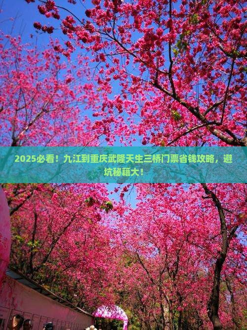 九江到重庆武隆天生三桥门票