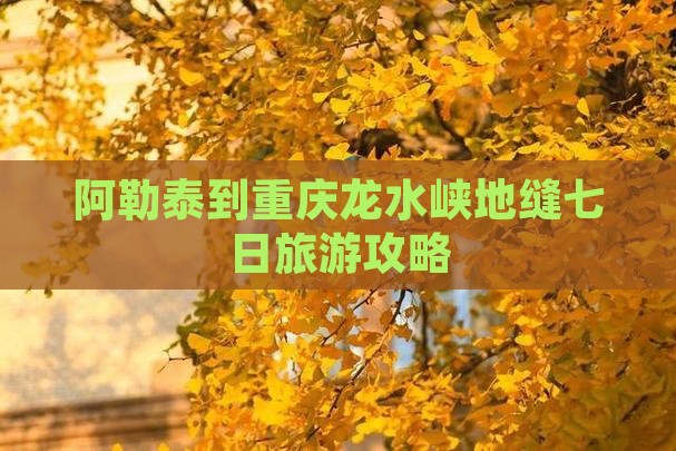 阿勒泰去重庆龙水峡地缝七日游