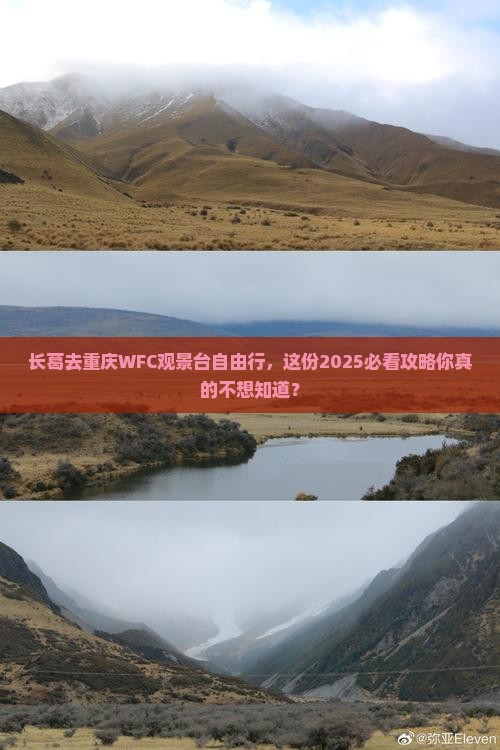 长葛去重庆wfc观景台自由行