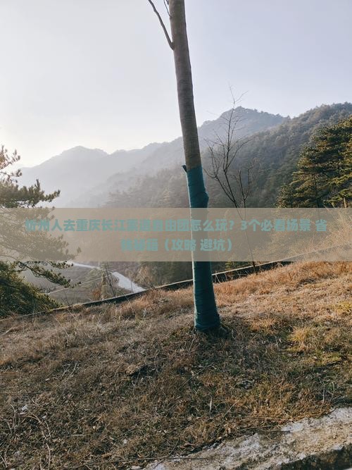忻州去重庆长江索道自由团