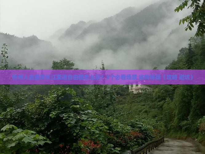忻州去重庆长江索道自由团