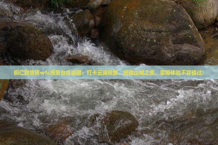 铜仁到重庆wfc观景台自由团