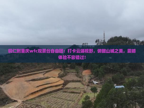 铜仁到重庆wfc观景台自由团