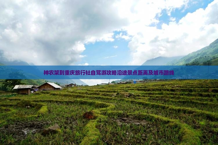 神农架到重庆旅行社