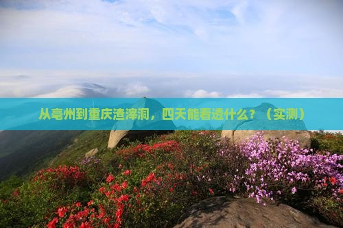 亳州到重庆渣滓洞四日游