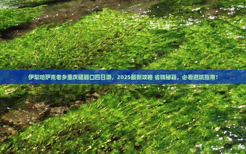 伊犁哈萨克到重庆磁器口四日游