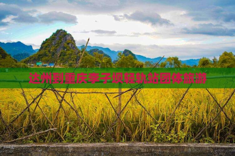 达州到重庆李子坝轻轨站团体旅游