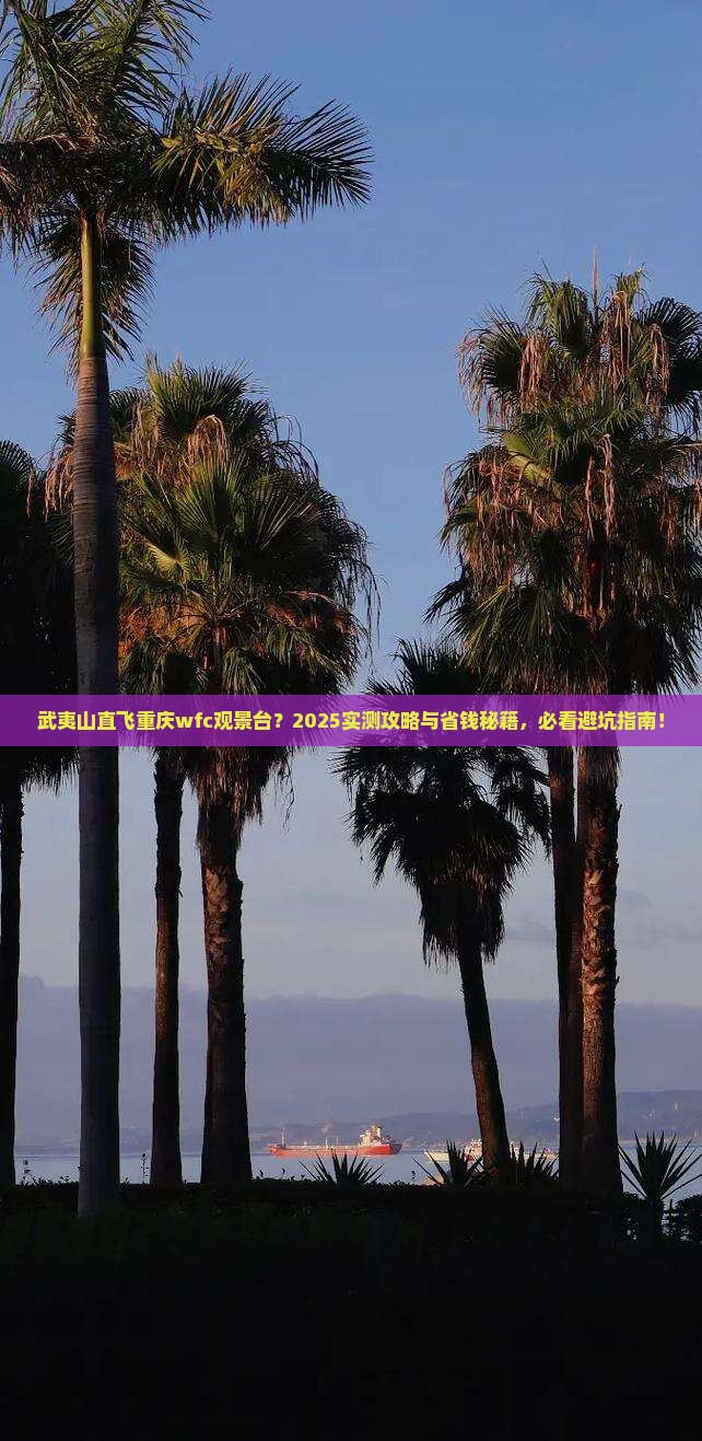武夷山去重庆wfc观景台景点