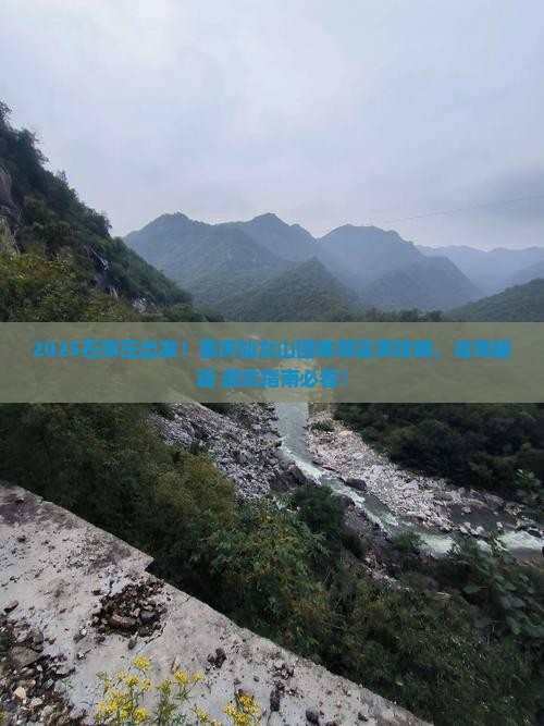 石家庄去重庆仙女山团体旅游