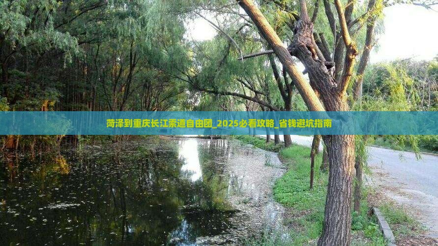 菏泽到重庆长江索道自由团
