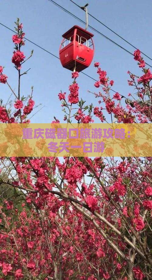冬天到重庆磁器口一日