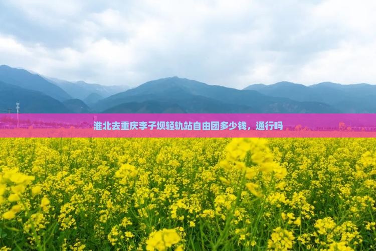 淮北去重庆李子坝轻轨站自由团