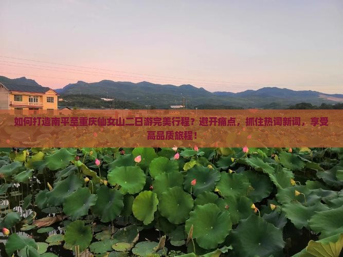 如何打造南平至重庆仙女山二日游完美行程？避开痛点，抓住热词新词，享受高品质旅程！