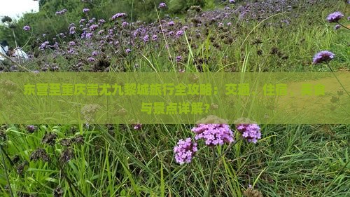 东营至重庆蚩尤九黎城旅行全攻略：交通、住宿、美食与景点详解？