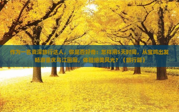 作为一名资深旅行达人，你是否好奇：怎样用5天时间，从宝鸡出发畅游重庆乌江画廊，体验绝美风光？（旅行篇）