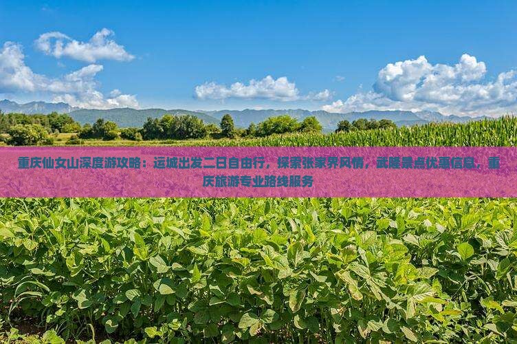 重庆仙女山深度游攻略：运城出发二日自由行，探索张家界风情，武隆景点优惠信息，重庆旅游专业路线服务