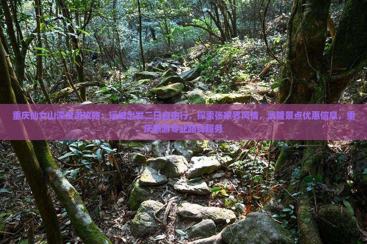 重庆仙女山深度游攻略：运城出发二日自由行，探索张家界风情，武隆景点优惠信息，重庆旅游专业路线服务