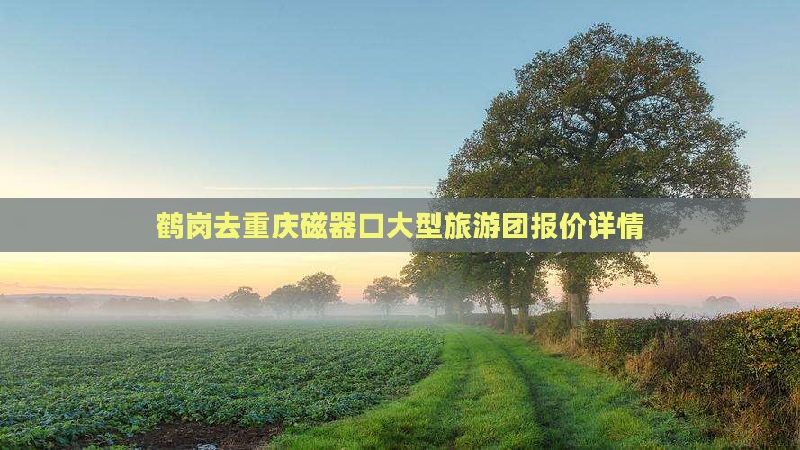 鹤岗去重庆磁器口大型旅游团报价详情