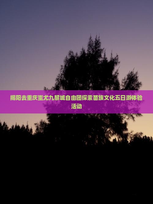 揭阳去重庆蚩尤九黎城自由团探索苗族文化五日游体验活动