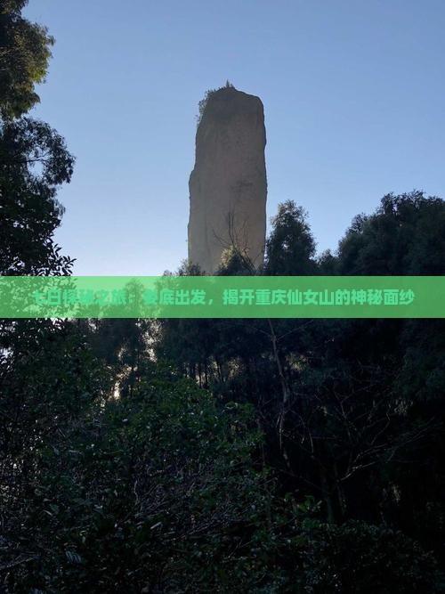七日探秘之旅：娄底出发，揭开重庆仙女山的神秘面纱