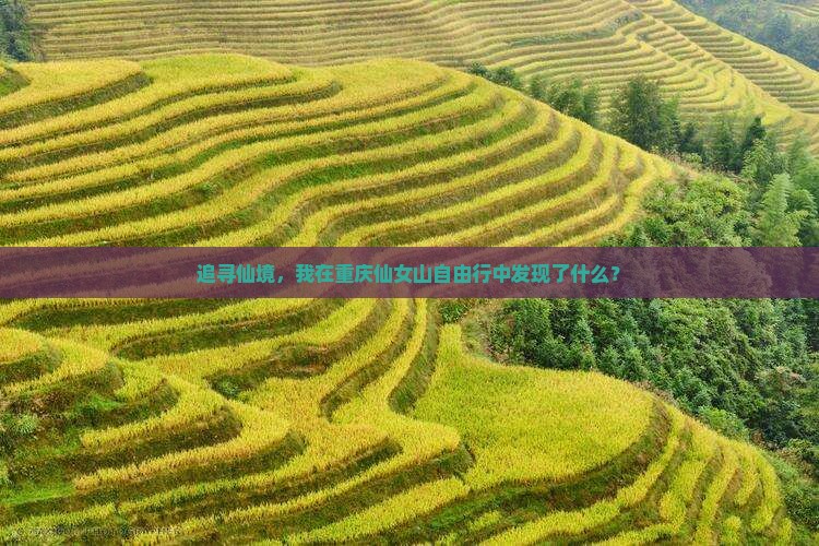 追寻仙境，我在重庆仙女山自由行中发现了什么？