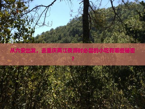 从六安出发，去重庆两江夜游时必尝的小吃有哪些秘密？