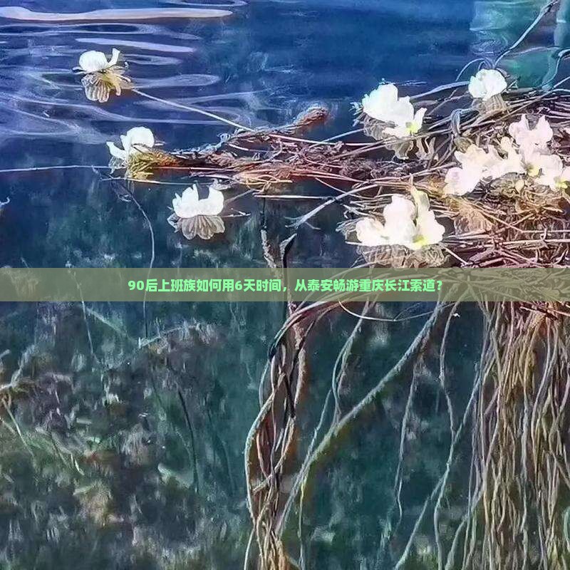 90后上班族如何用6天时间，从泰安畅游重庆长江索道？