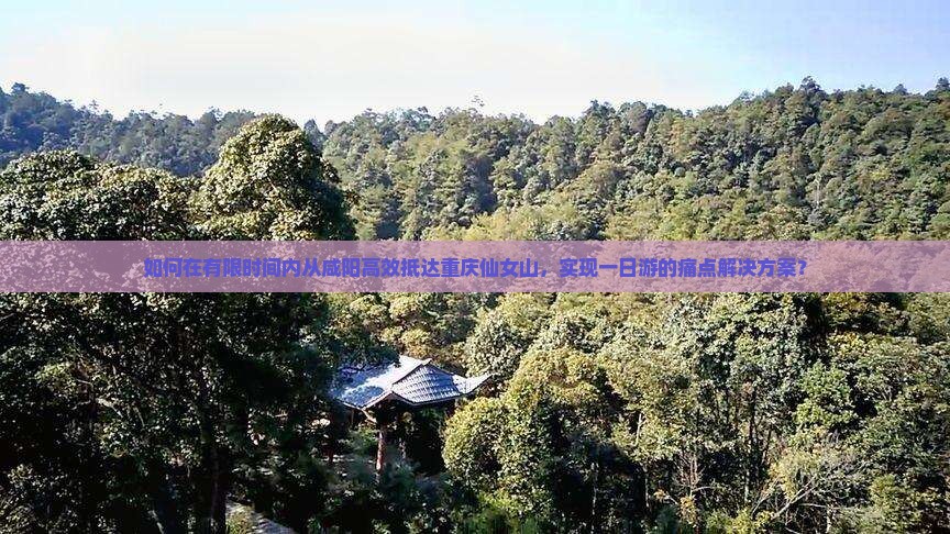 如何在有限时间内从咸阳高效抵达重庆仙女山，实现一日游的痛点解决方案？