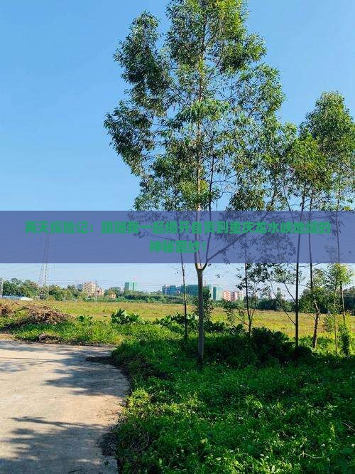 两天探险记：跟随我一起揭开自贡到重庆龙水峡地缝的神秘面纱！