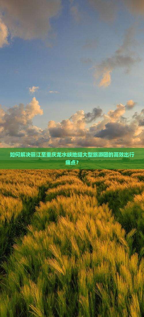 如何解决丽江至重庆龙水峡地缝大型旅游团的高效出行痛点？
