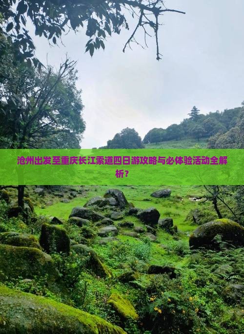 沧州出发至重庆长江索道四日游攻略与必体验活动全解析？