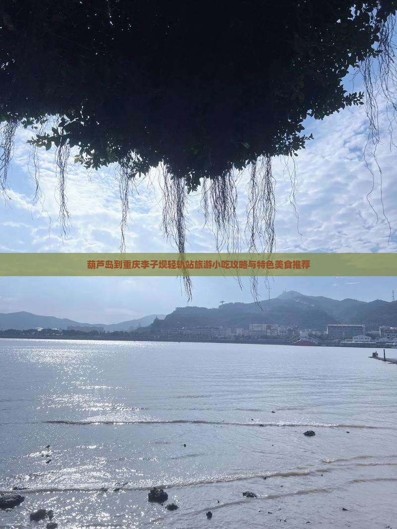 葫芦岛到重庆李子坝轻轨站旅游小吃攻略与特色美食推荐