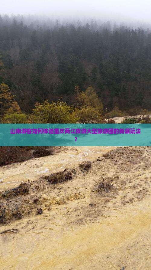 山南游客如何体验重庆两江夜游大型旅游团的新潮玩法？