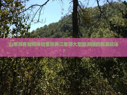 山南游客如何体验重庆两江夜游大型旅游团的新潮玩法？