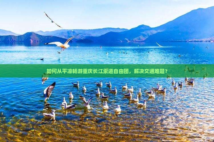 如何从平凉畅游重庆长江索道自由团，解决交通难题？