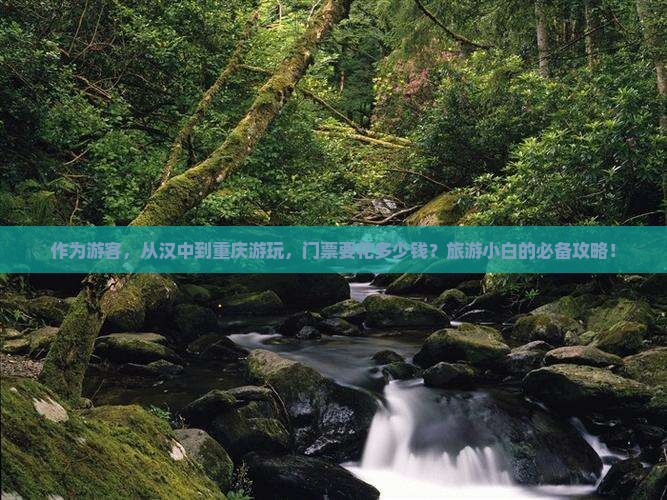 作为游客，从汉中到重庆游玩，门票要花多少钱？旅游小白的必备攻略！