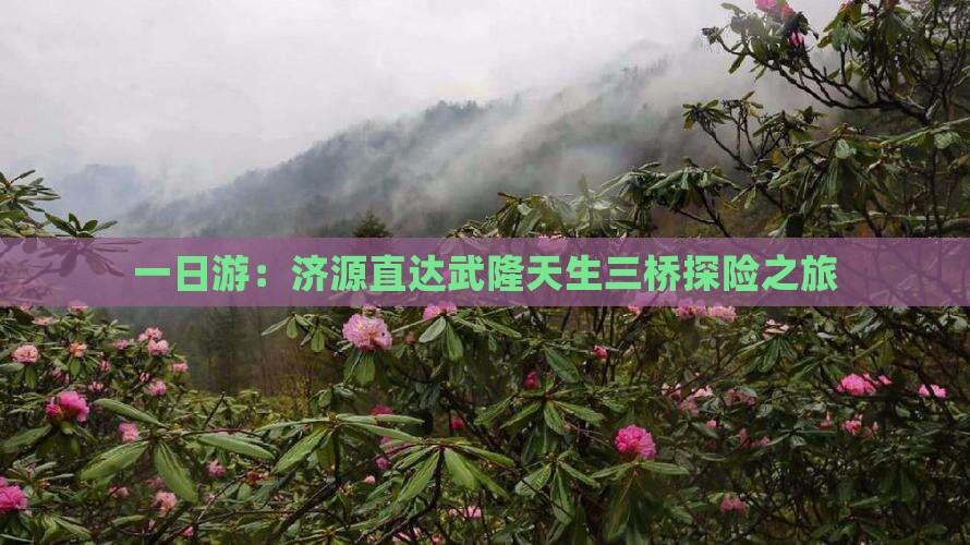 一日游：济源直达武隆天生三桥探险之旅