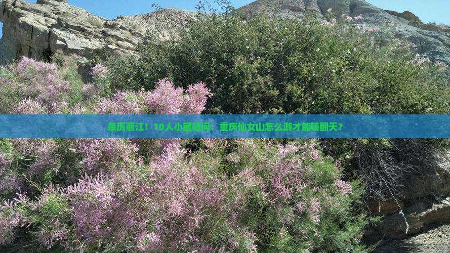 亲历丽江！10人小团疑问：重庆仙女山怎么游才能嗨翻天？