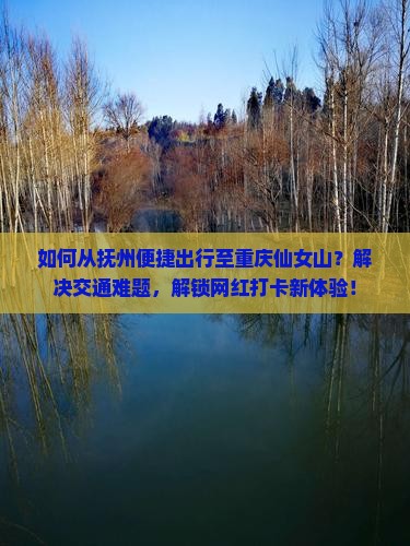 如何从抚州便捷出行至重庆仙女山？解决交通难题，解锁网红打卡新体验！