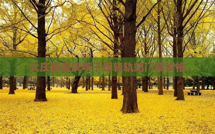 大庆到重庆李子坝轻轨站门票价格